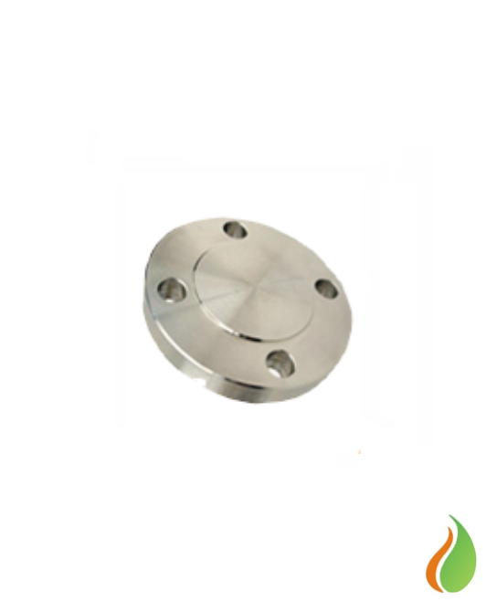 Flange Cego
